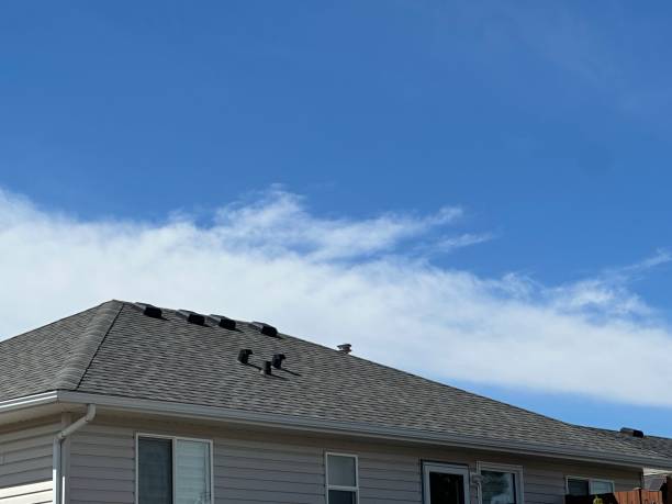 Best Roof Maintenance and Cleaning  in Sun Valley, ID